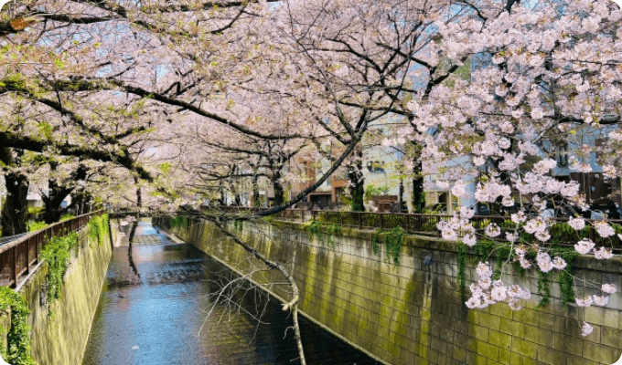 Meguro river